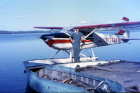 1956 Cessna 180 in Canada